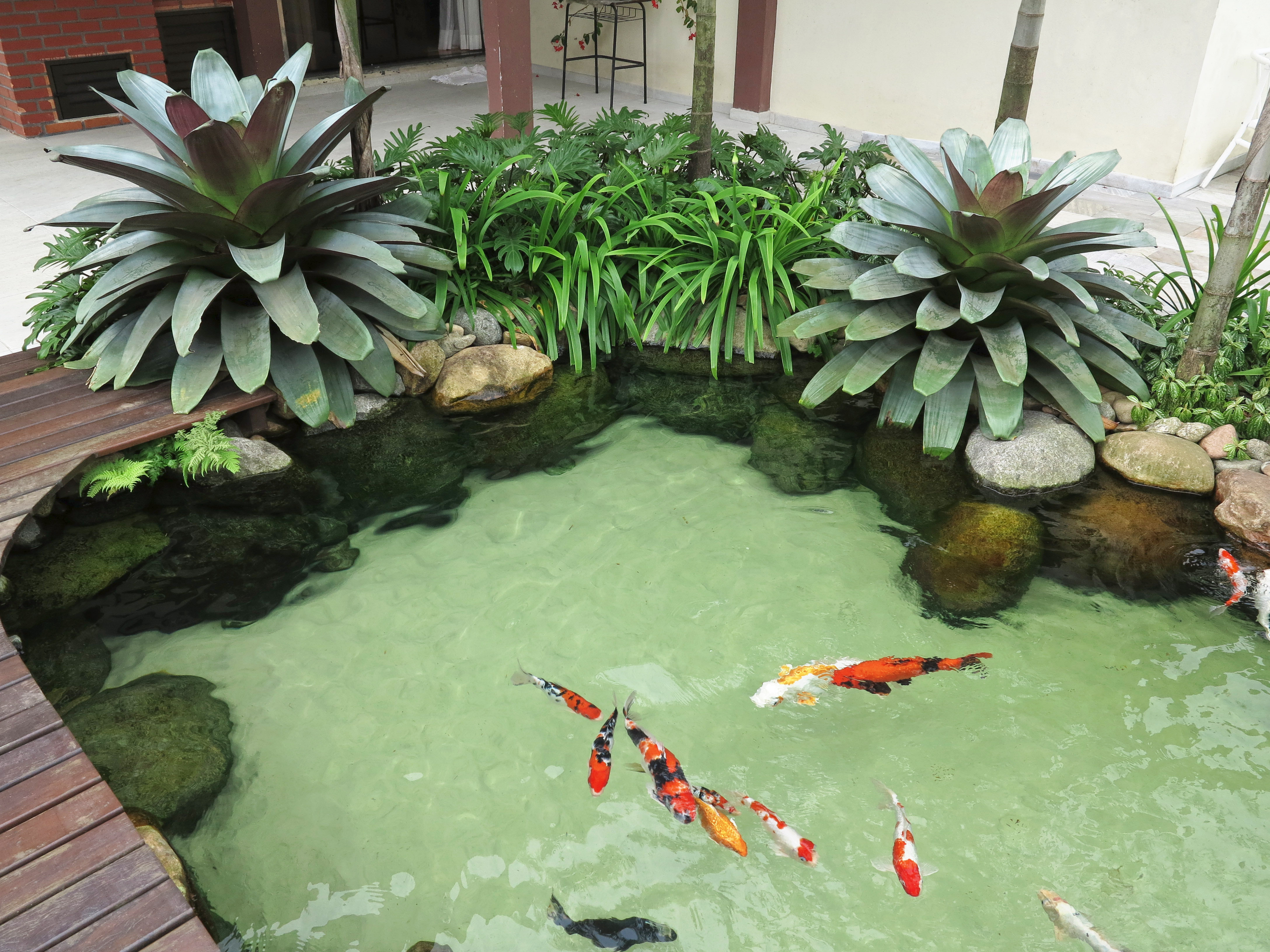 Ornamental Ponds